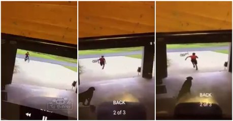 Proprietário de casa vê menino intruso na sua garagem para... que belo momento!