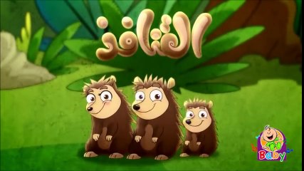 9anafid Toyor Baby - القنافذ طيور الجنة بيبي