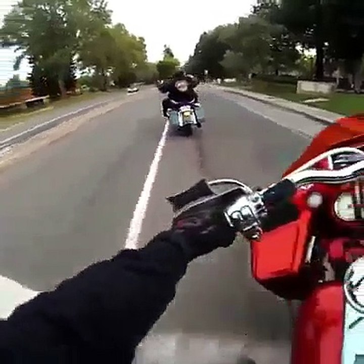 Harley Does a Wheelie