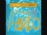 Track #14/17 Saltwater (Thrillseekers Remix) - Buddha bar - The Real Sound of Ibiza - Cafe Mambo
