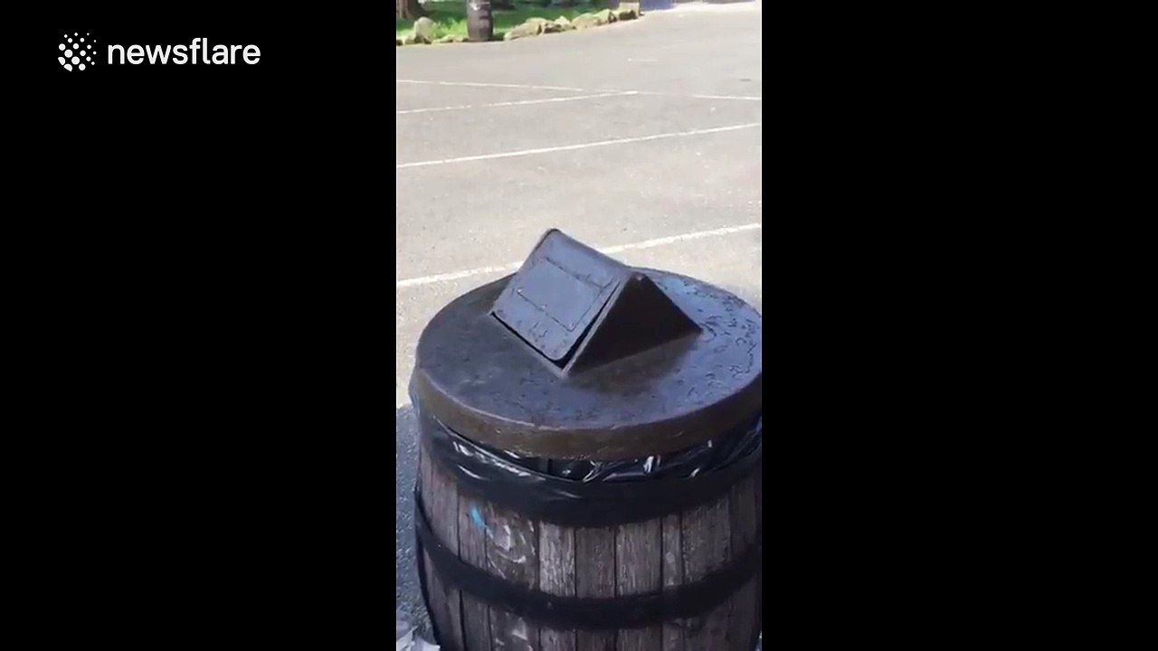 People save stricken squirrel from theme park bin