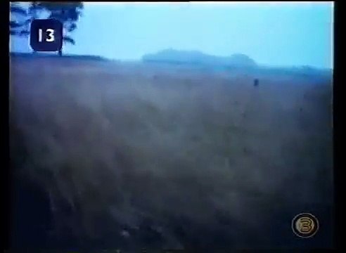 UFOs making crop circles