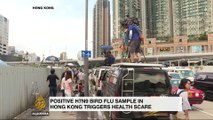 Bird flu sample in Hong Kong triggers health scare