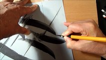 How I Draw 3D Sharks, Trick Art & Optical Illusion by Vamos
