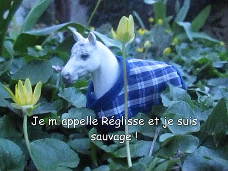 Amour Eternel Saison 1 Combien D'épisodes
