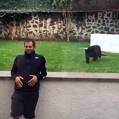 Une panthère noire attaque un homme par derrière !