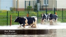 Beauvais et Beauvaisis : inondations le 7 juin 2016