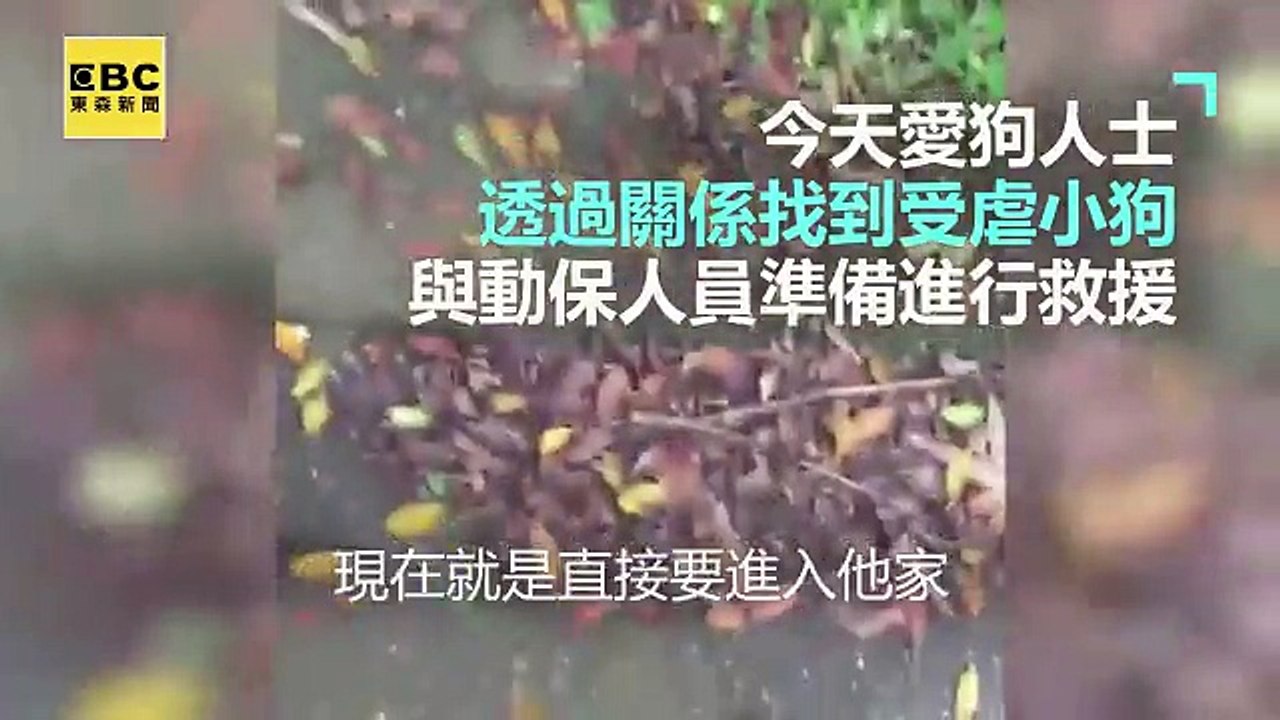 東森新聞 - 援救瑞芳被摔毛孩 牠很安全也很乖只差愛牠的家 _ Facebook