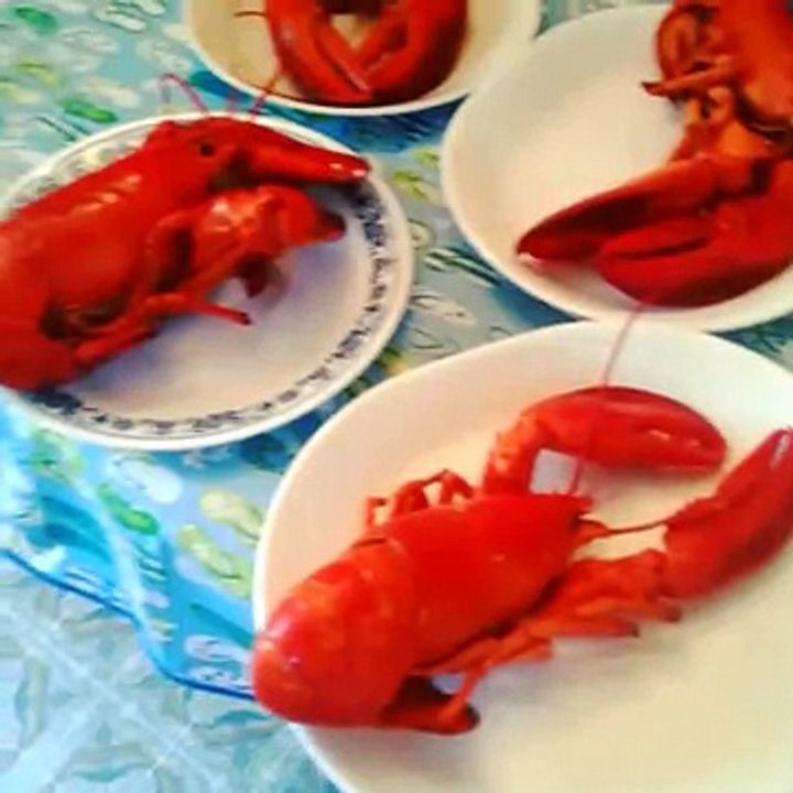 Lobster supper at the Shaw's