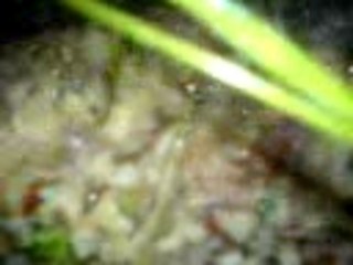 GERBINATOR!!!!!!!!!!!!!!!!!!!!