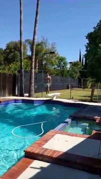 Собака спасает хозяина