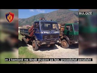 Ora News – Sekuestrohen dy kamionë me dru ahu të prera pa leje në pyllin e Tërnovës