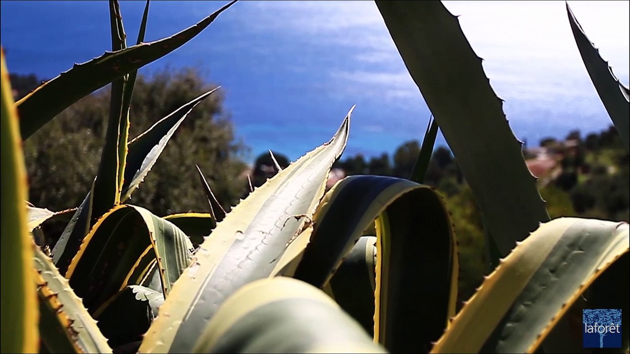 Appartement 2 pièces, Cavalaire centre