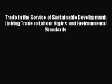 Read Trade in the Service of Sustainable Development: Linking Trade to Labour Rights and Environmental