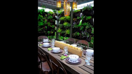 Kitchen Space With Ornamental Plant On Walls