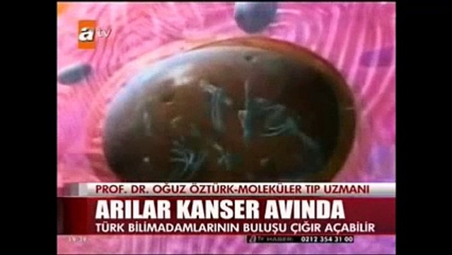 Arılar KANSER Avında - Propolis in faydaları - Propolisin etkileri