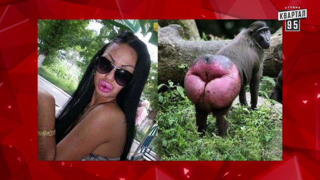 Смешные уроки английского языка от Чисто News - Урок 13 - Буква M, прикольное видео