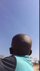 What does a pig say?