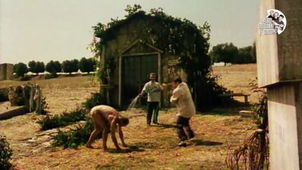 Così è la vita - Trailer | Aldo Giovanni e Giacomo