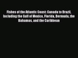 Read Books Fishes of the Atlantic Coast: Canada to Brazil Including the Gulf of Mexico Florida
