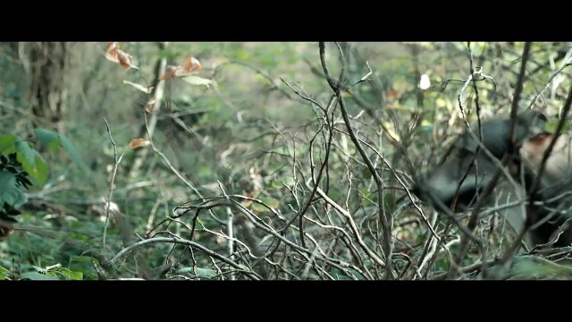 Sansar Salvo feat. Şanışer - Yarın Ölümü Beklemek Yerine