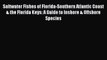 Read Books Saltwater Fishes of Florida-Southern Atlantic Coast & the Florida Keys: A Guide
