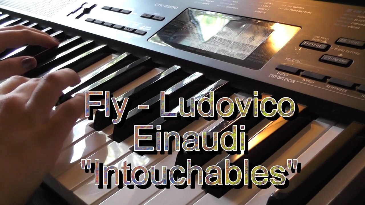 Fly - Ludovico Einaudi "Intouchables" on Piano (отрывок)