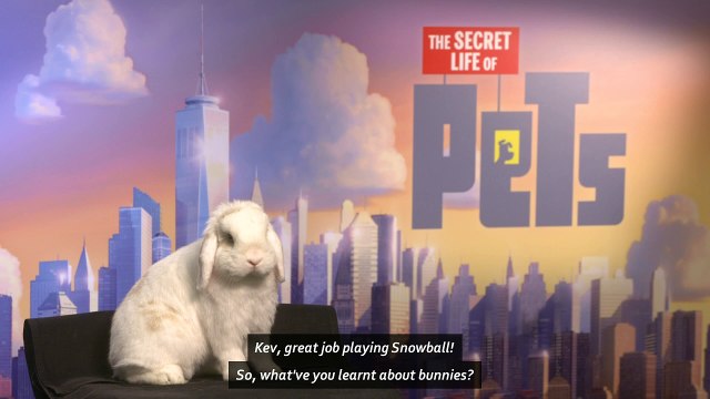 Bunny rabbit interviews Kevin Hart for Secret Life of Pets