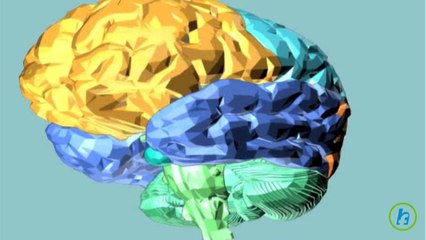 Brain Location Targeting Depression Patients Indentified