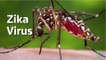 New Zika Virus Guidelines Focus on Safe Sex