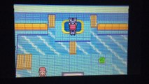 Pokemon Platinum - Gym Leader Wake