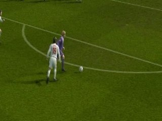 Rein Brisé : Causes et Solutions 🐎