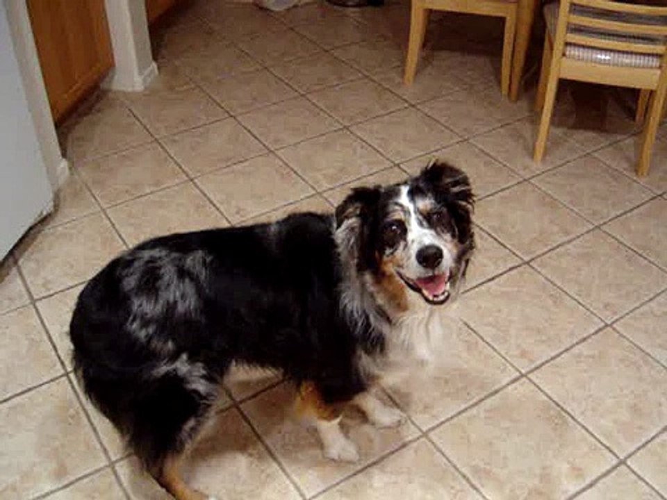 Bailey May 28, 2007
