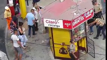 The Brown Dog wants to Kill that Cyberian Husky Dog