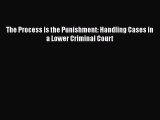 Read The Process is the Punishment: Handling Cases in a Lower Criminal Court Ebook Free