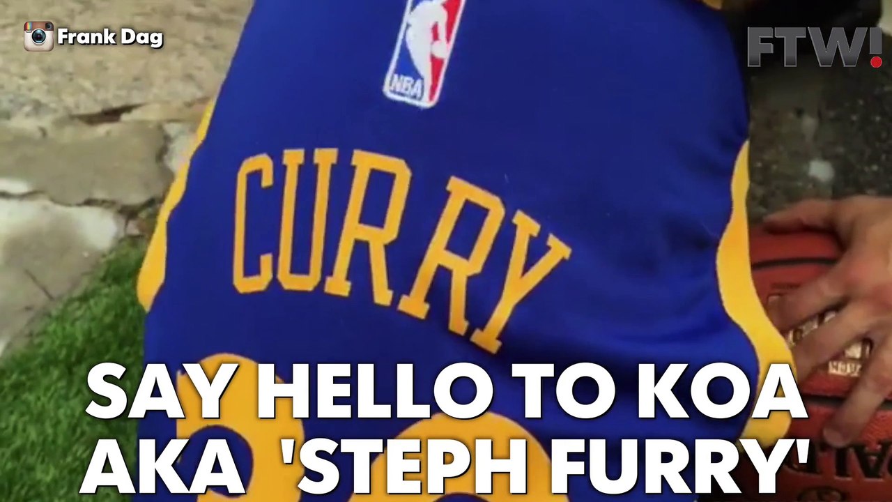 Say hello to 'Steph Furry'