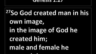 Genesis 1:27 (#39 Top Bible Verse)