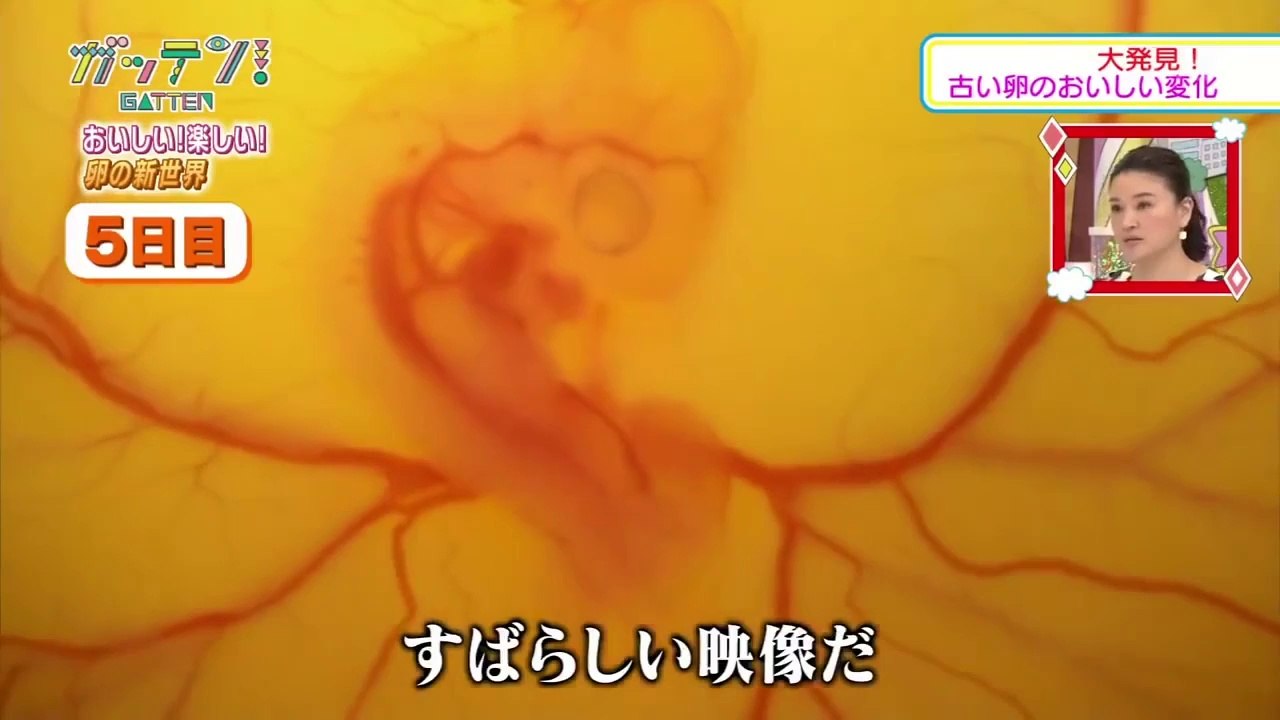 Faire naitre un poussin avec un oeuf sans sa coquille, c'est possible