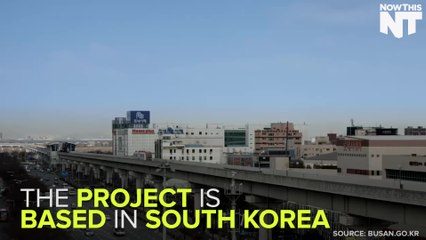 South Korea Wants To Help Pregnant Women Find A Seat On The Bus