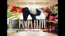 LOTE 22...FLICKA DA TATU / 2.LEILÃO ELITE PAMPA ATIBAIA / 10 DE MAIO DE 2014