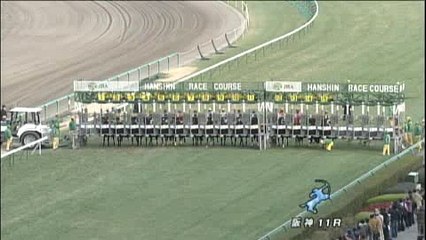 2010/12/25 阪神11R ラジオNIKKEI杯2歳ステークス（G3） ダノンバラード