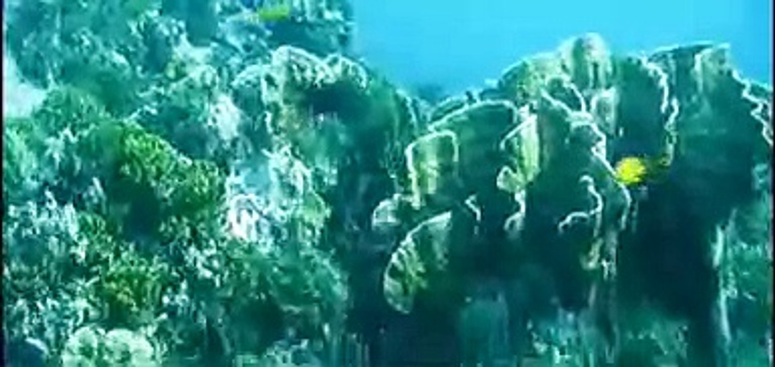 シミランクルーズ　コタチャイリーフ　2008年3月17日