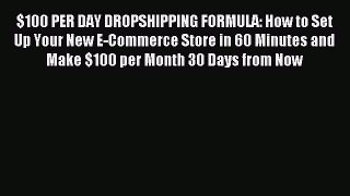 [Read PDF] $100 PER DAY DROPSHIPPING FORMULA: How to Set Up Your New E-Commerce Store in 60