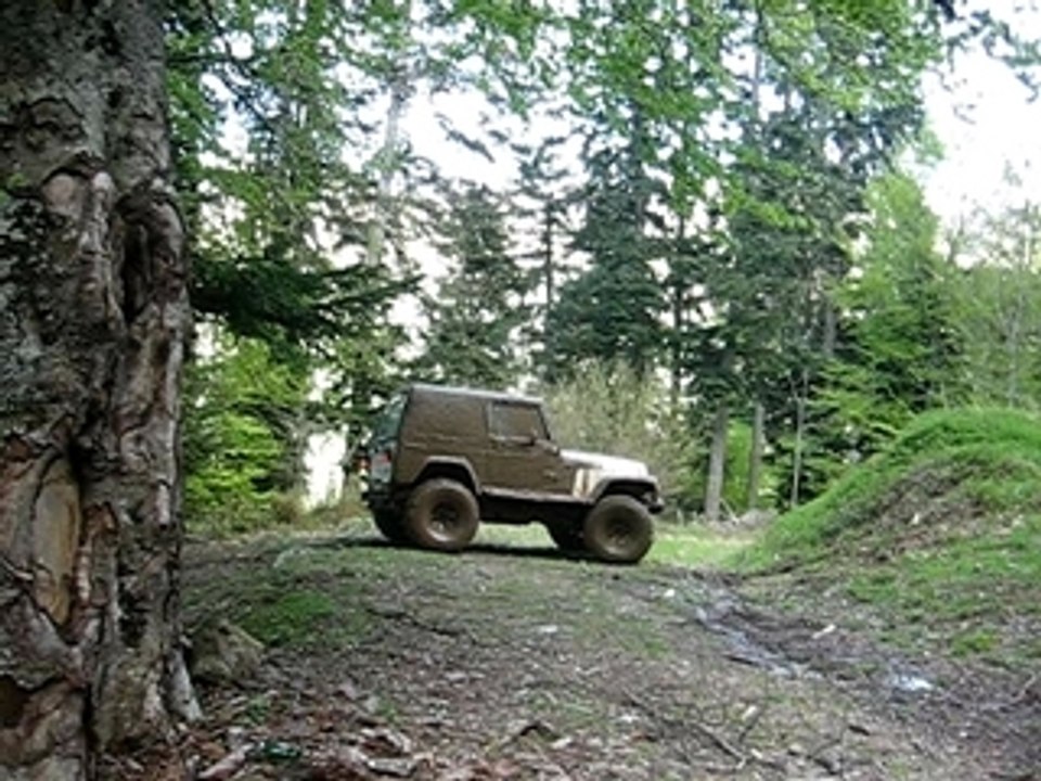 JEEP NIKEL