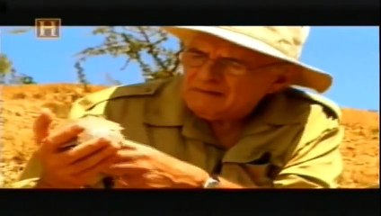 Do Macaco ao Homem PARTE 2 / Ape to Man PART 2