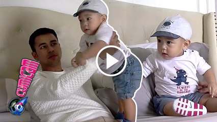 Petakilan, Rafathar Kejedot Meja - Cumicam 08 Juni 2016