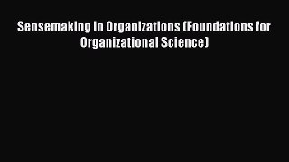 Download Sensemaking in Organizations (Foundations for Organizational Science) Free Books