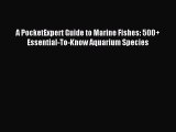 Download A PocketExpert Guide to Marine Fishes: 500  Essential-To-Know Aquarium Species Ebook