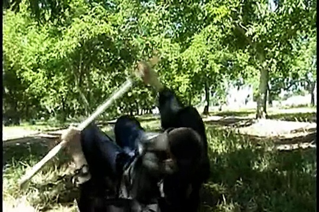 Fan Version: Black Knight; Monty Python and the Holy Grail