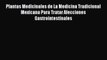 Read Plantas Medicinales de La Medicina Tradicional Mexicana Para Tratar Afecciones Gastrointestinales